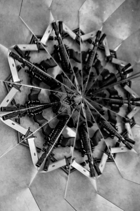 Mircea Cantor, Holy flowers V, 2010