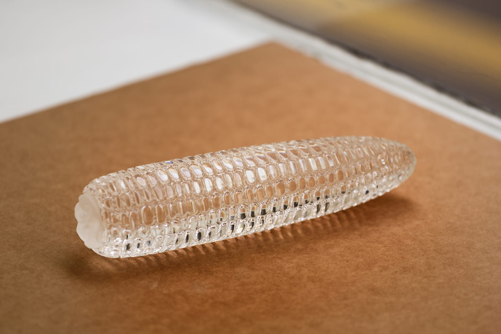 Mircea Cantor, Diamond Corn, 2005