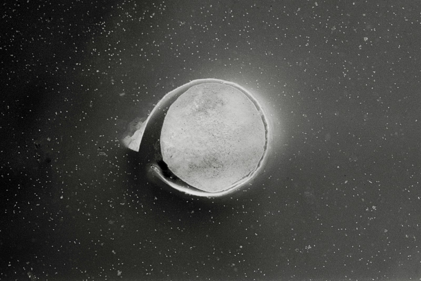 Etty Schwartz, Fe Iron, 1998 - 2022