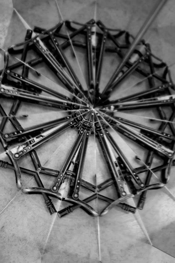 Mircea Cantor, Holy flowers VI, 2010