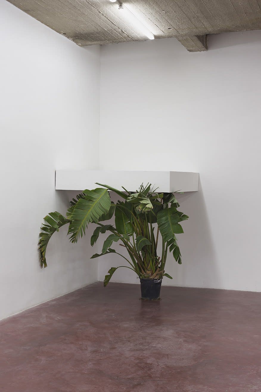 David Maljkovic, Untitled, 2012