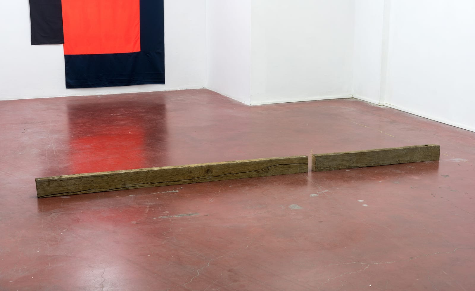 Daniel Steegmann Mangrané, (210 x 130), 2020