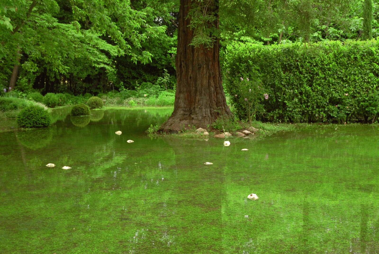 Douglas Gordon, Iles Flottantes, 2008