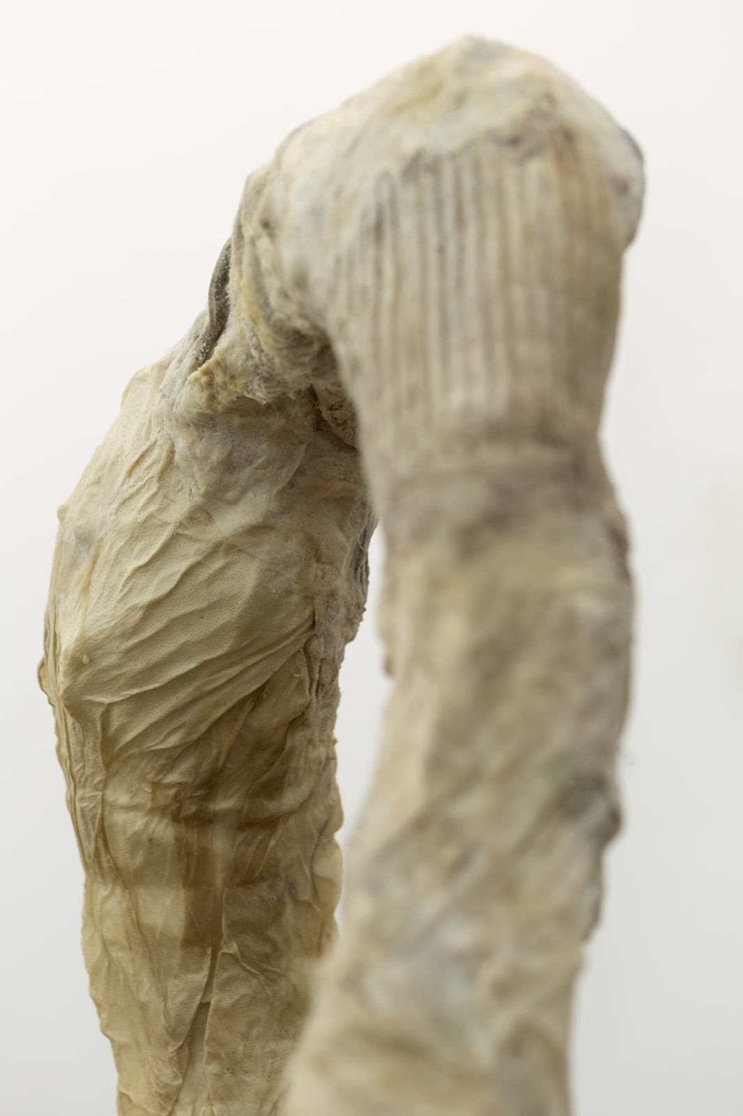 Mónica Mays, Lubes, fat, fillers, 2025