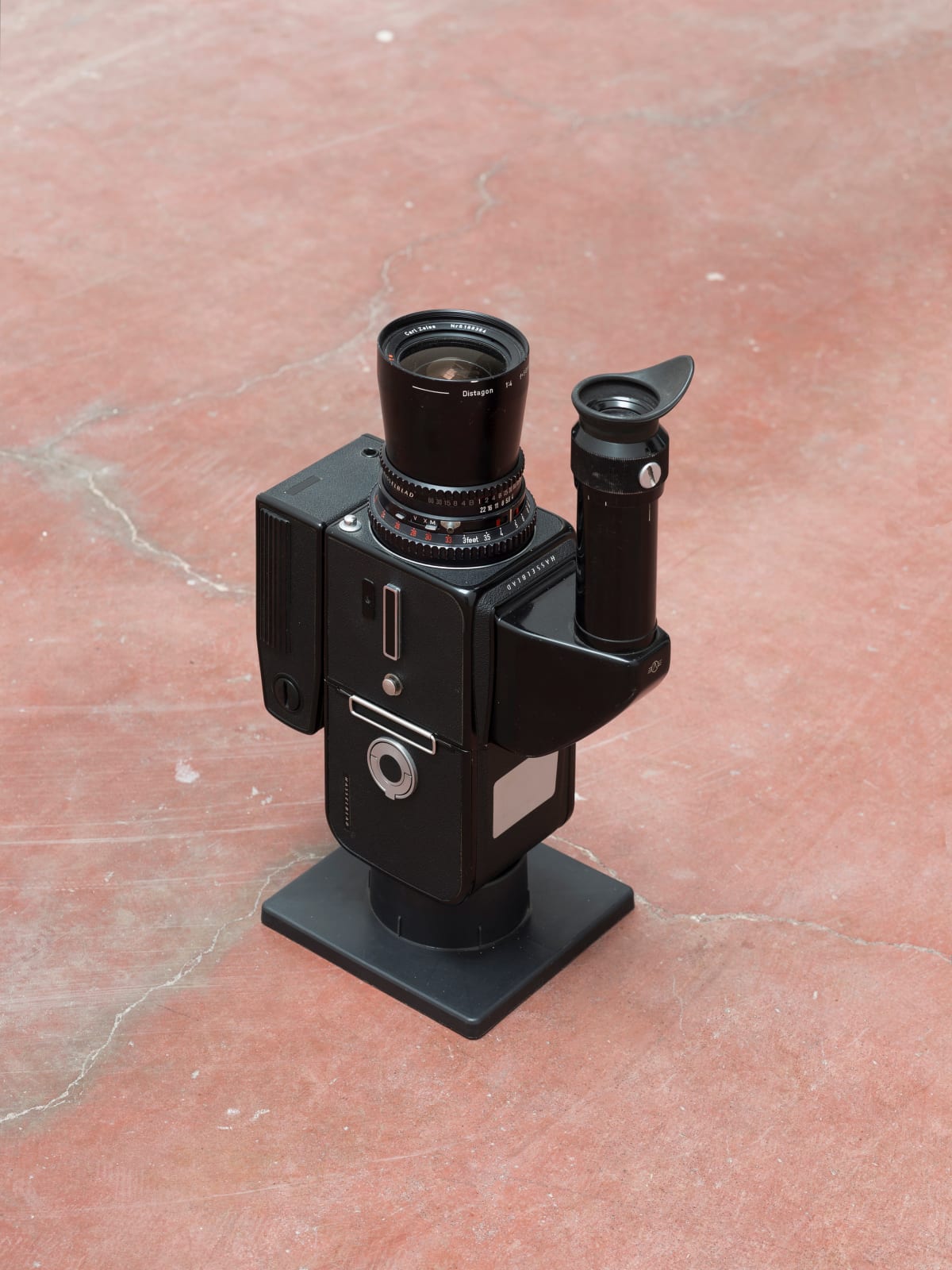 Matan Mittwoch, Photosynthesis, 20132014