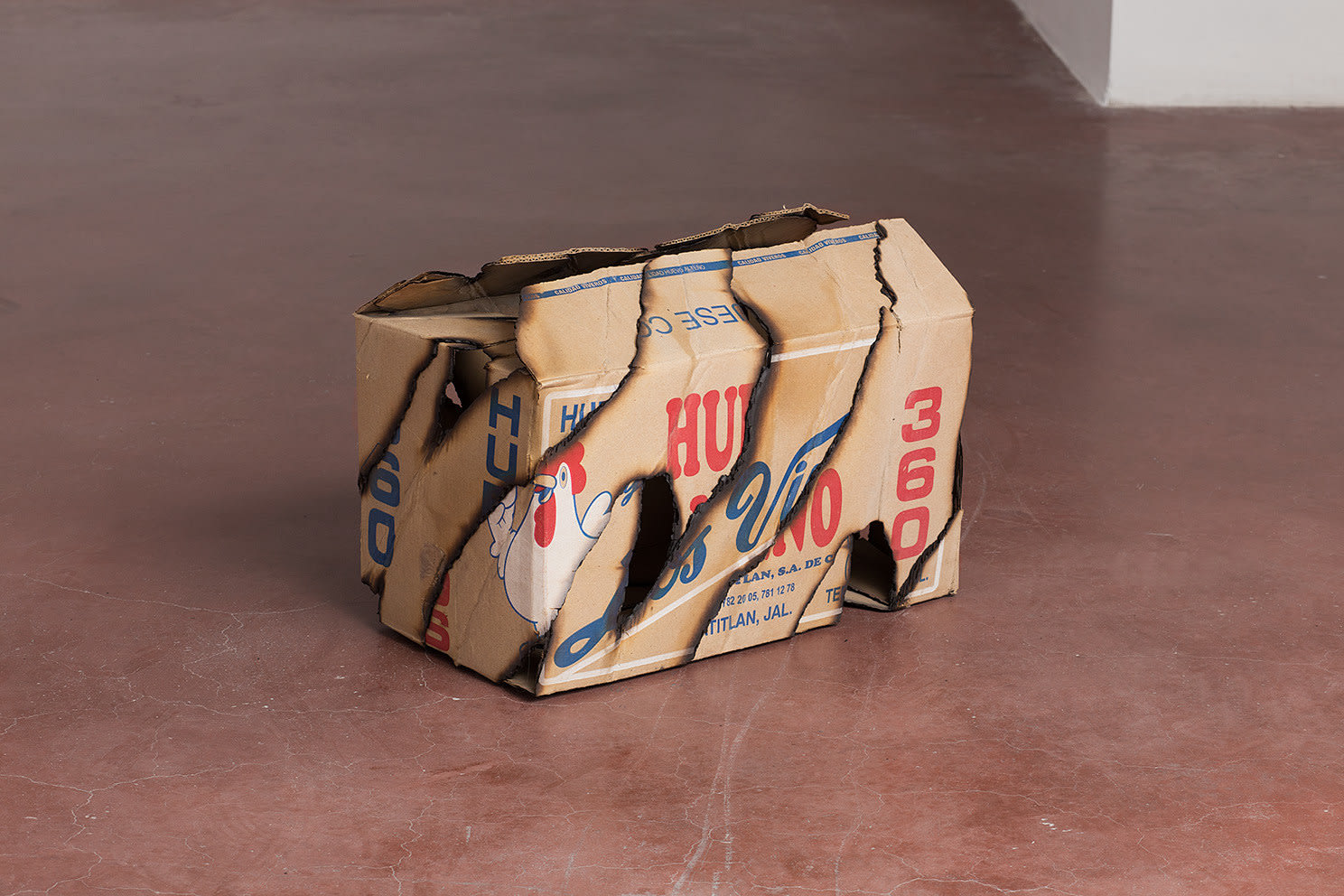 Ariel Schlesinger, Untitled (Caja de huevos), 2016
