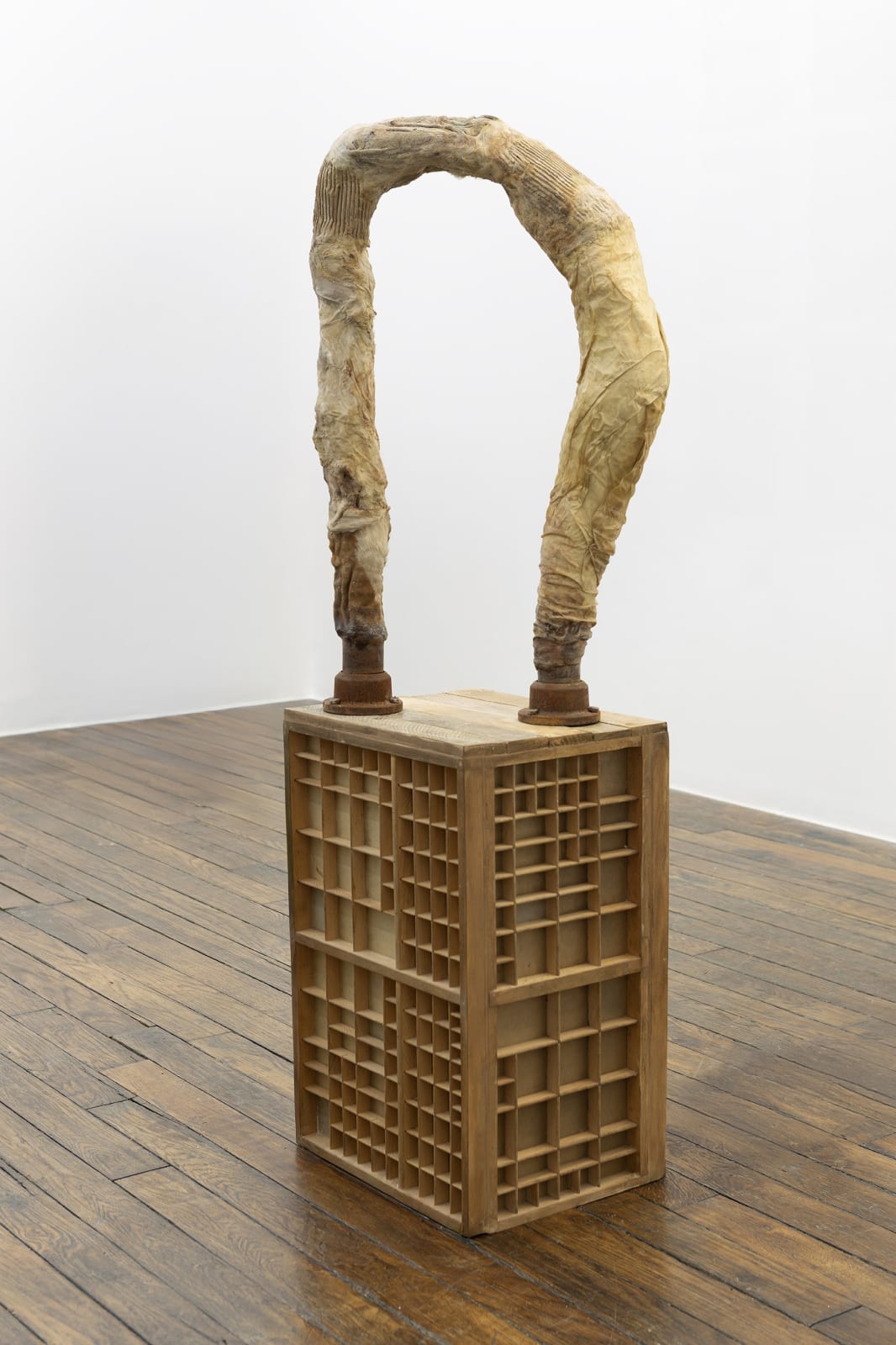 Mónica Mays, Lubes, fat, fillers, 2025