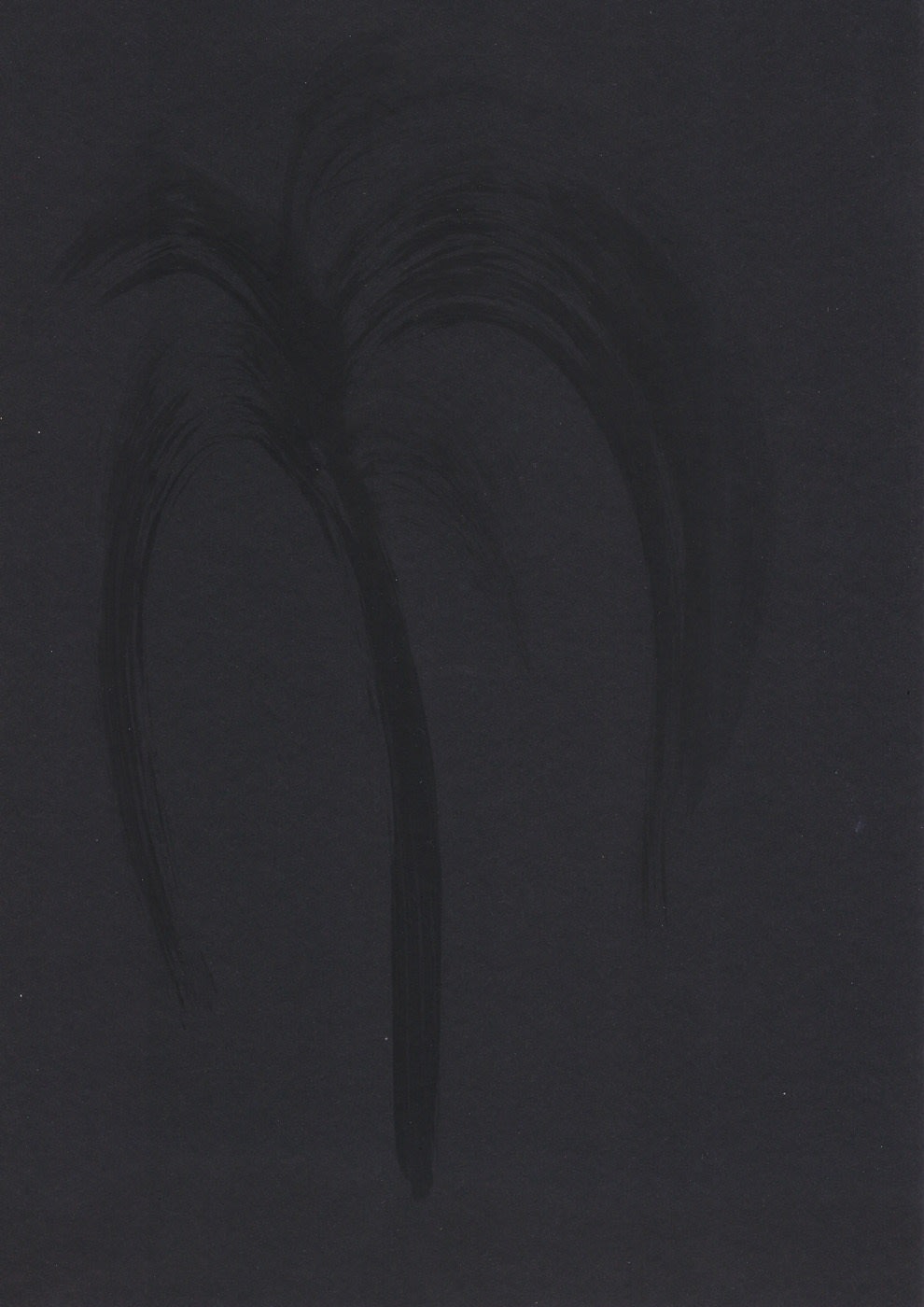 Sarah Ortmeyer, PALMA, 2019