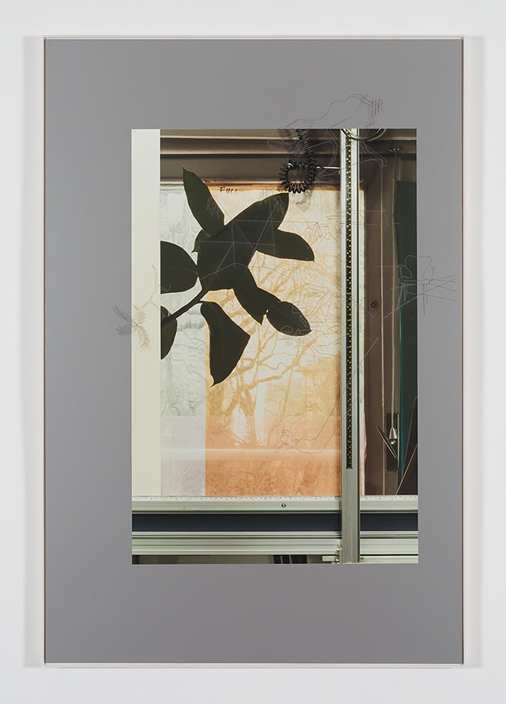 David Maljkovic, Yet to be titled, 2017