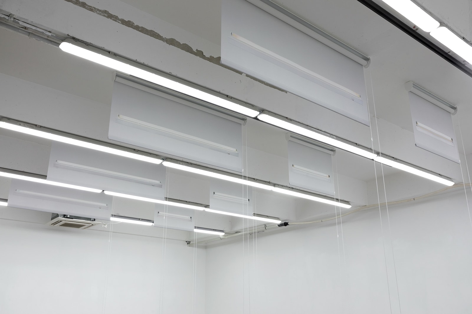 Barak Ravitz, upper roll lower roll, cool 60 Philips on left / cool 60 Philips on left גליל עליון גליל תחתון, 2023