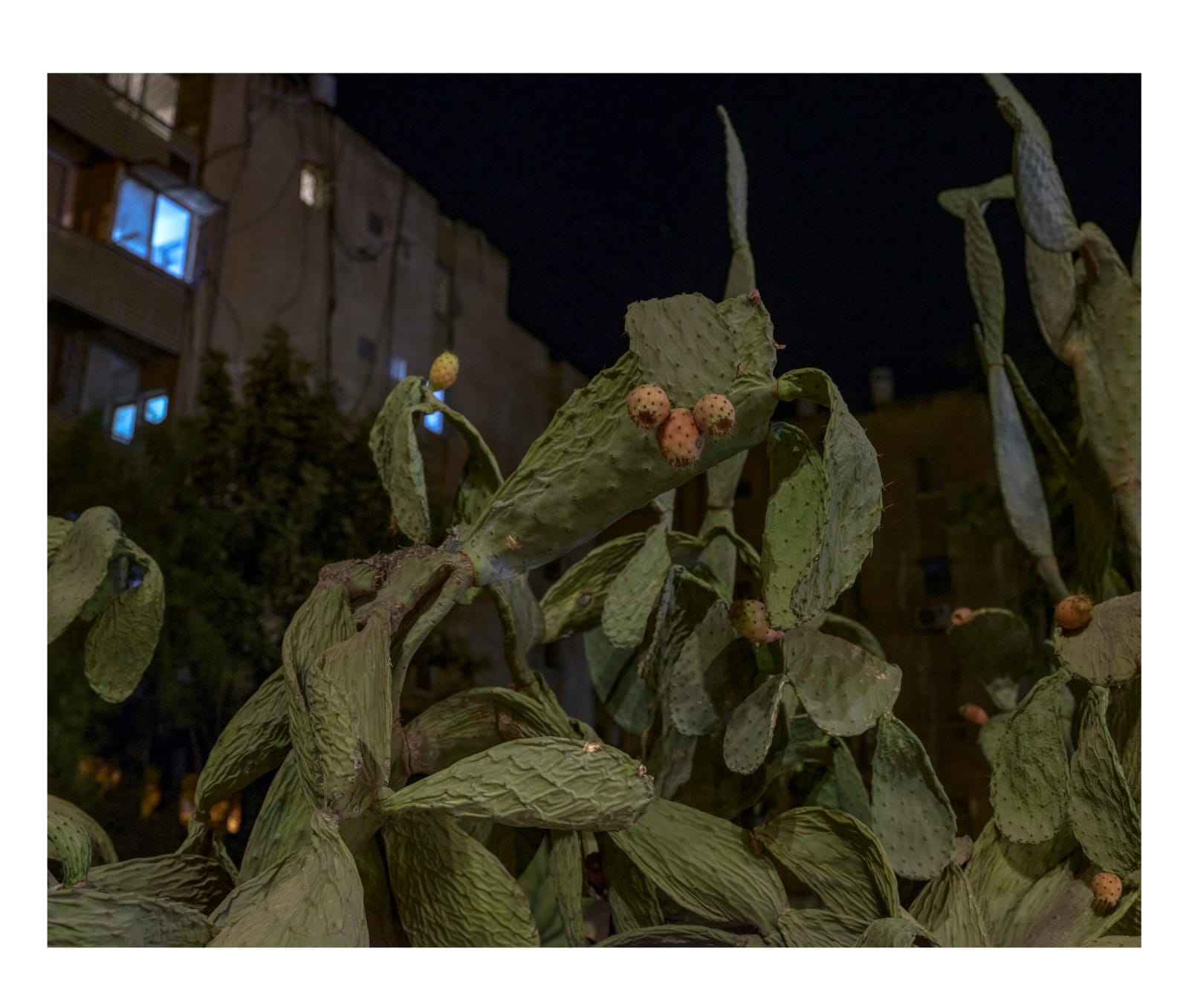 Pavel Wolberg, Beersheva, Sabres, 2022