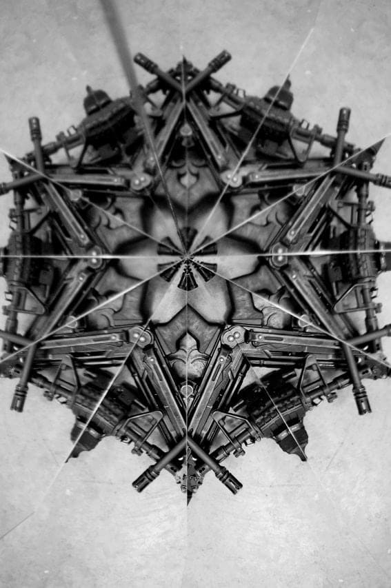 Mircea Cantor, Holy flowers XII, 2010