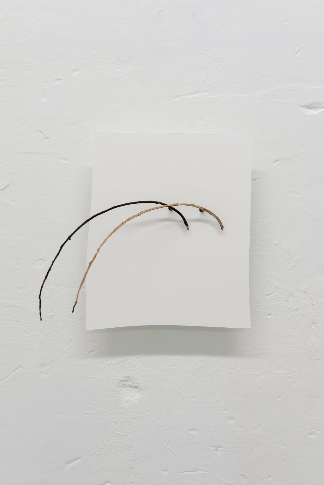 Ariel Schlesinger, Untitled, 2021