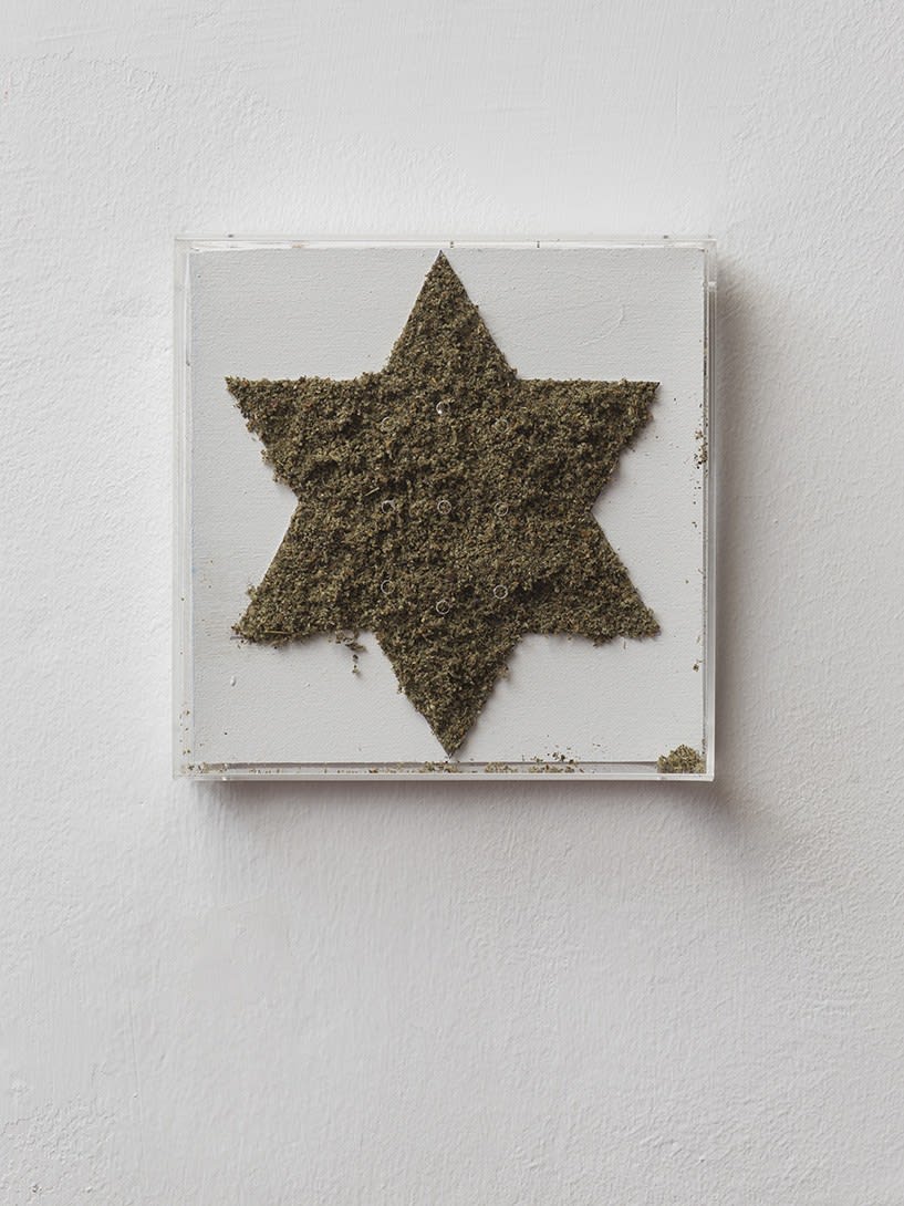 Adel Abdessemed, Ken, 2000