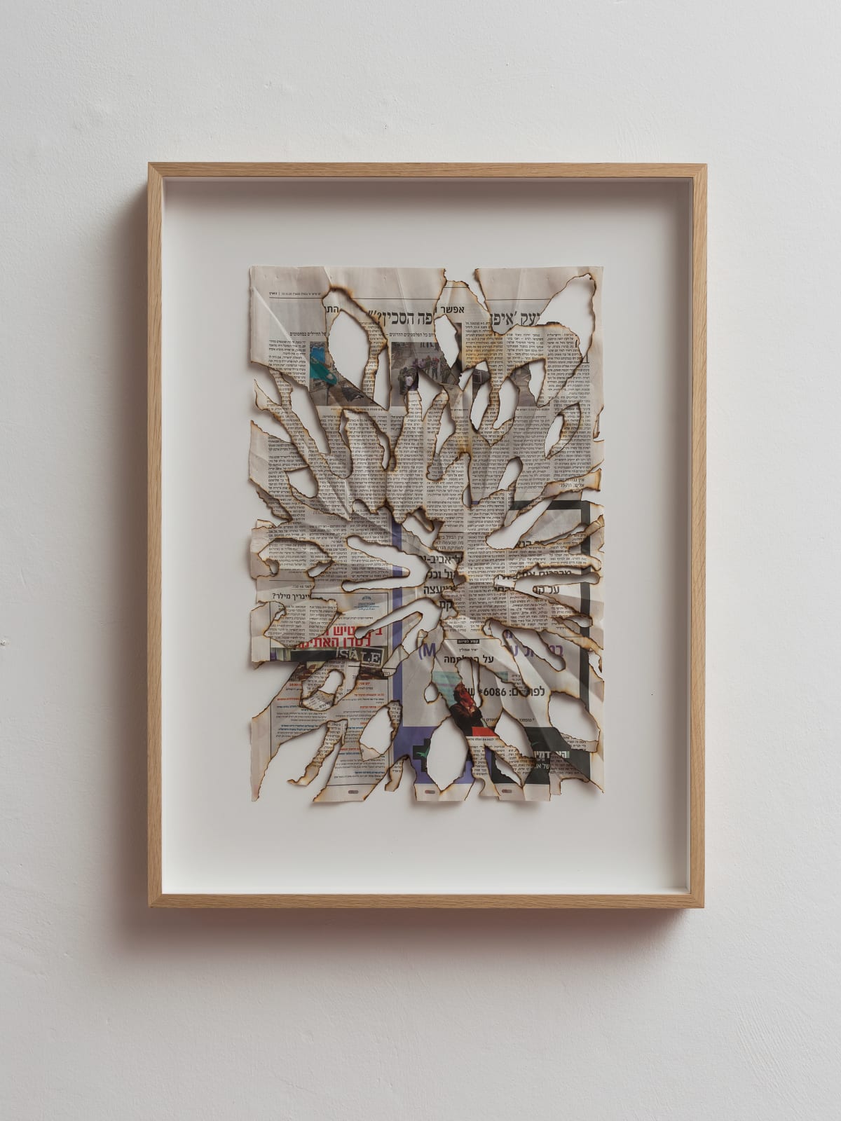 Ariel Schlesinger, Untitled (Haaretz 6), 2016