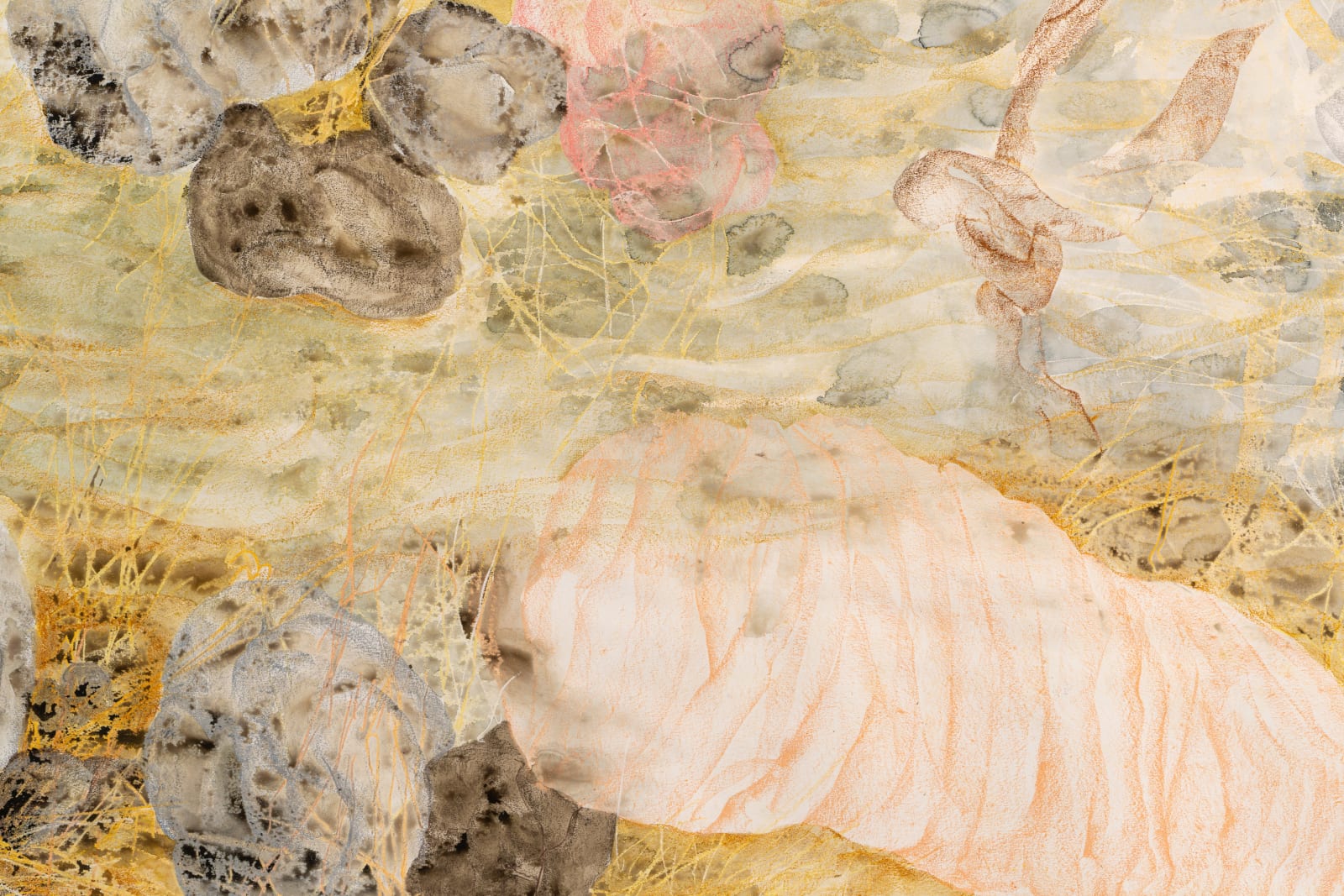 Alma Itzhaky, Cocoons, 2023