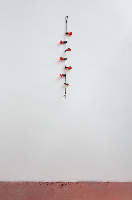 Douglas Gordon, All Reds, 2014