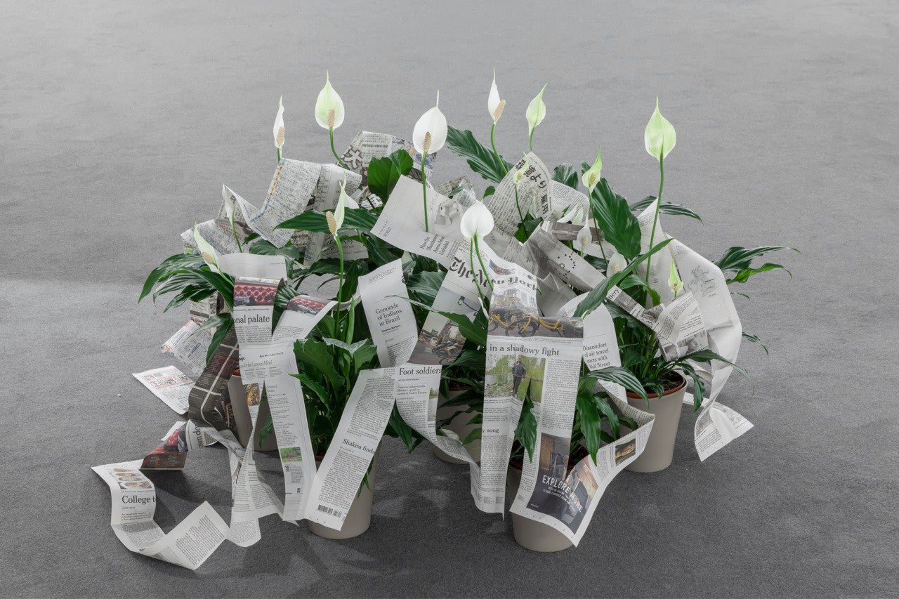 Mircea Cantor, Disruptive air (still life), 2017