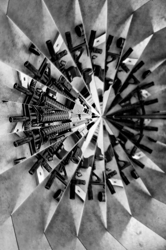 Mircea Cantor, Holy flowers XI, 2010