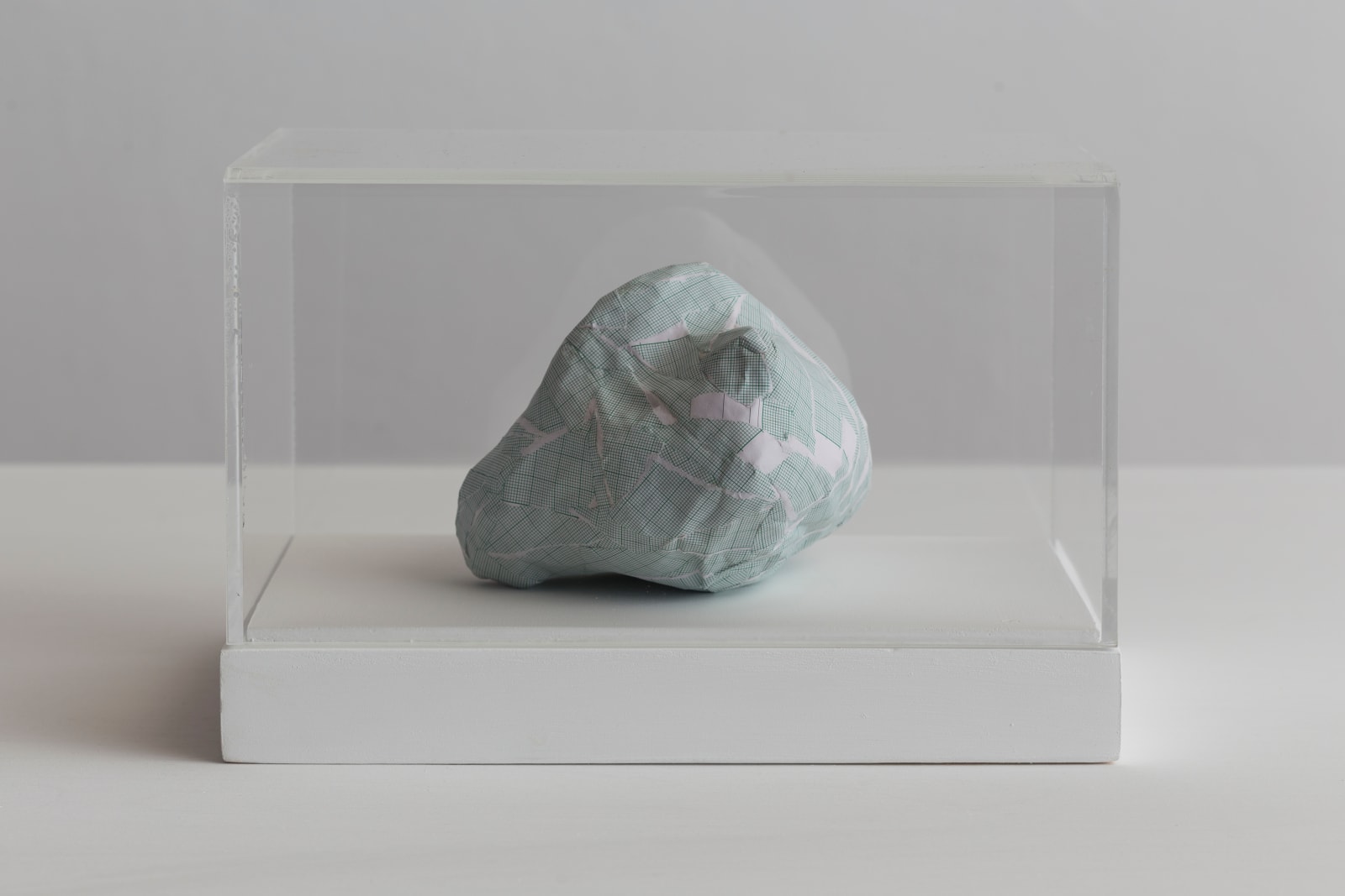 Shilpa Gupta, Untitled I, 2016