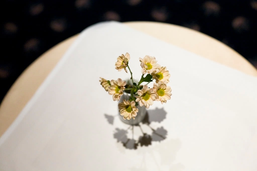 Yossi Breger, Flowers in a Vase, Kassel, 2007