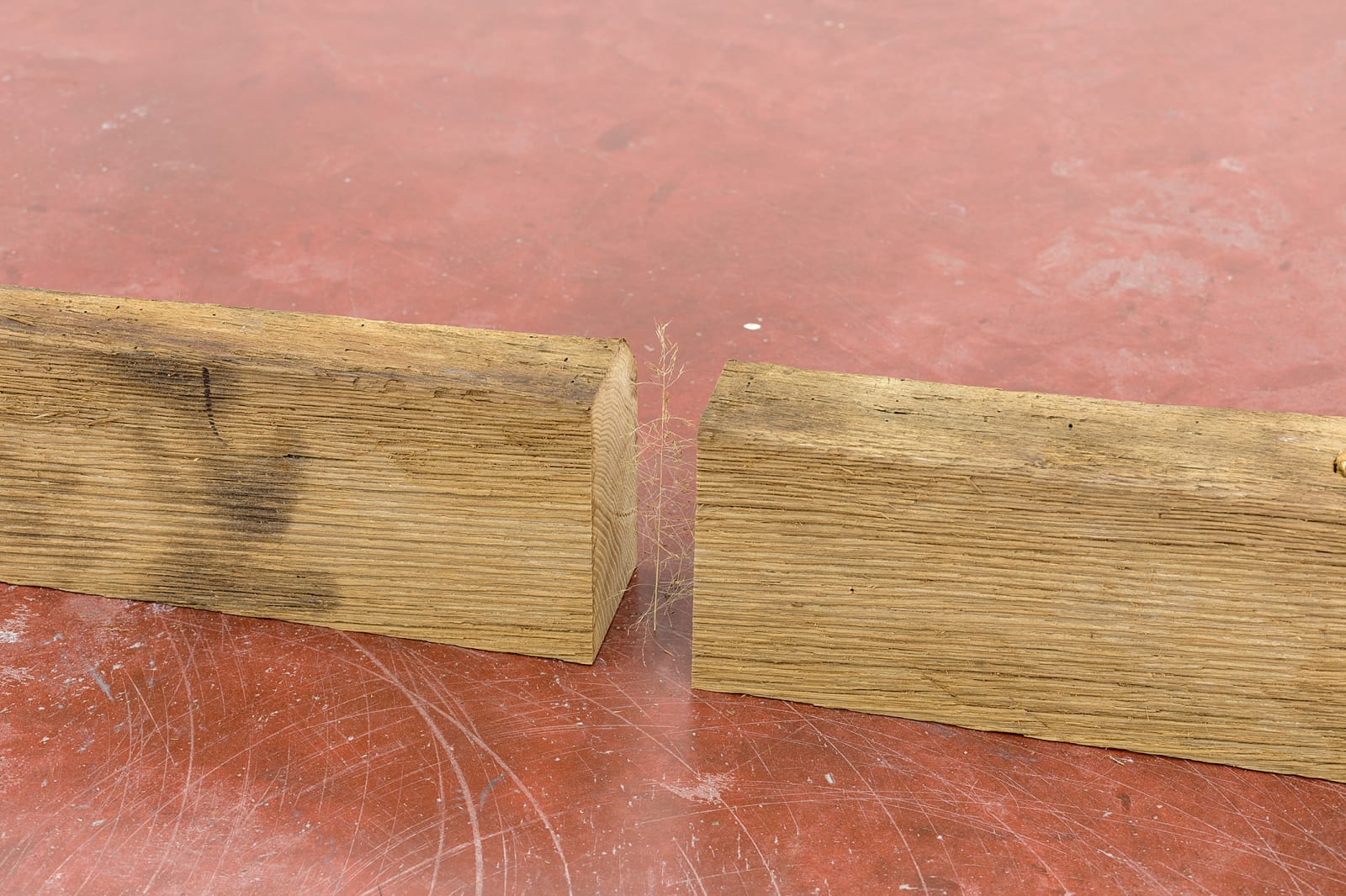 Daniel Steegmann Mangrané, (241 x 149), 2020