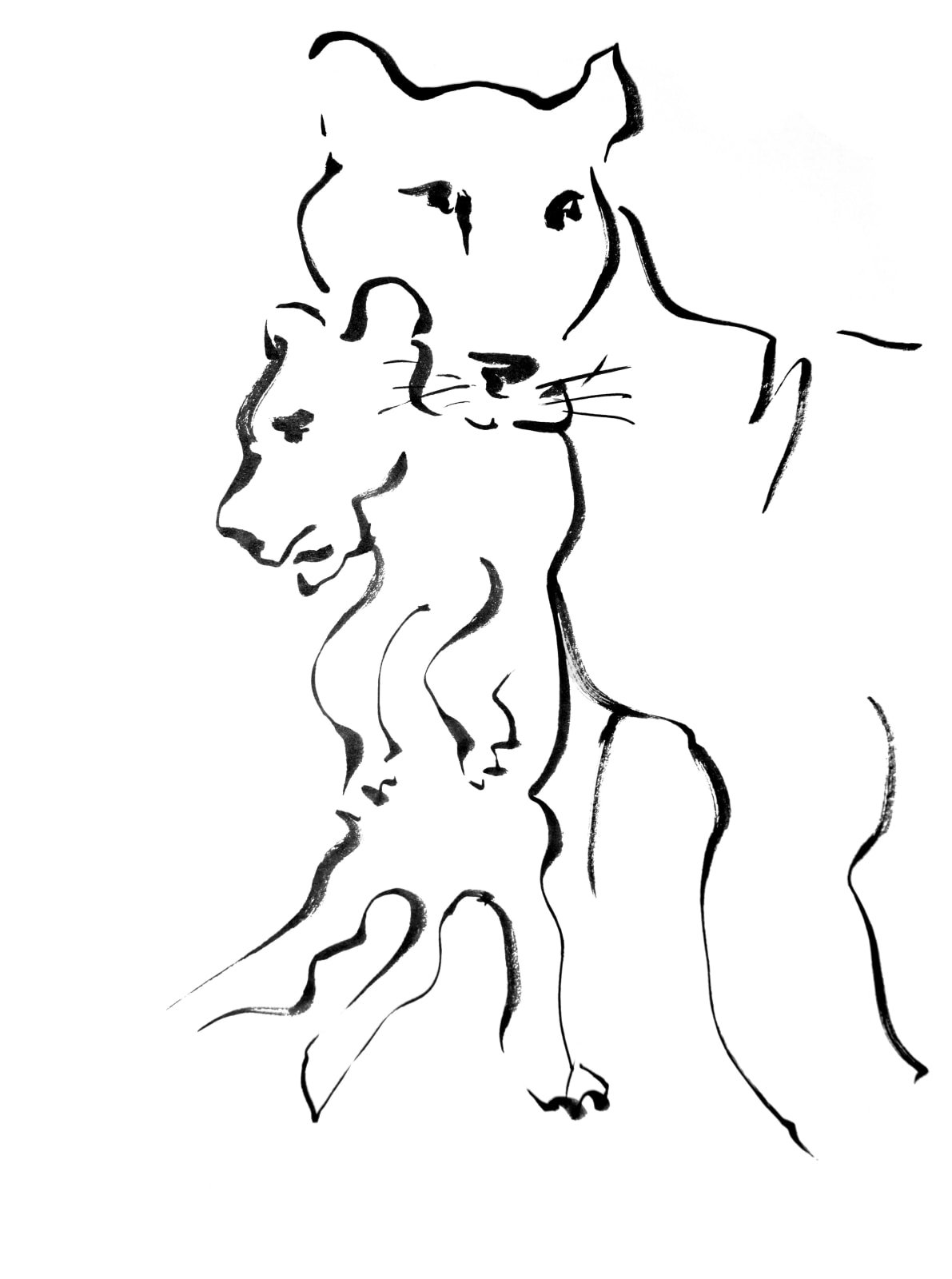 Mircea Cantor, Bellum & Maternitas, 2016