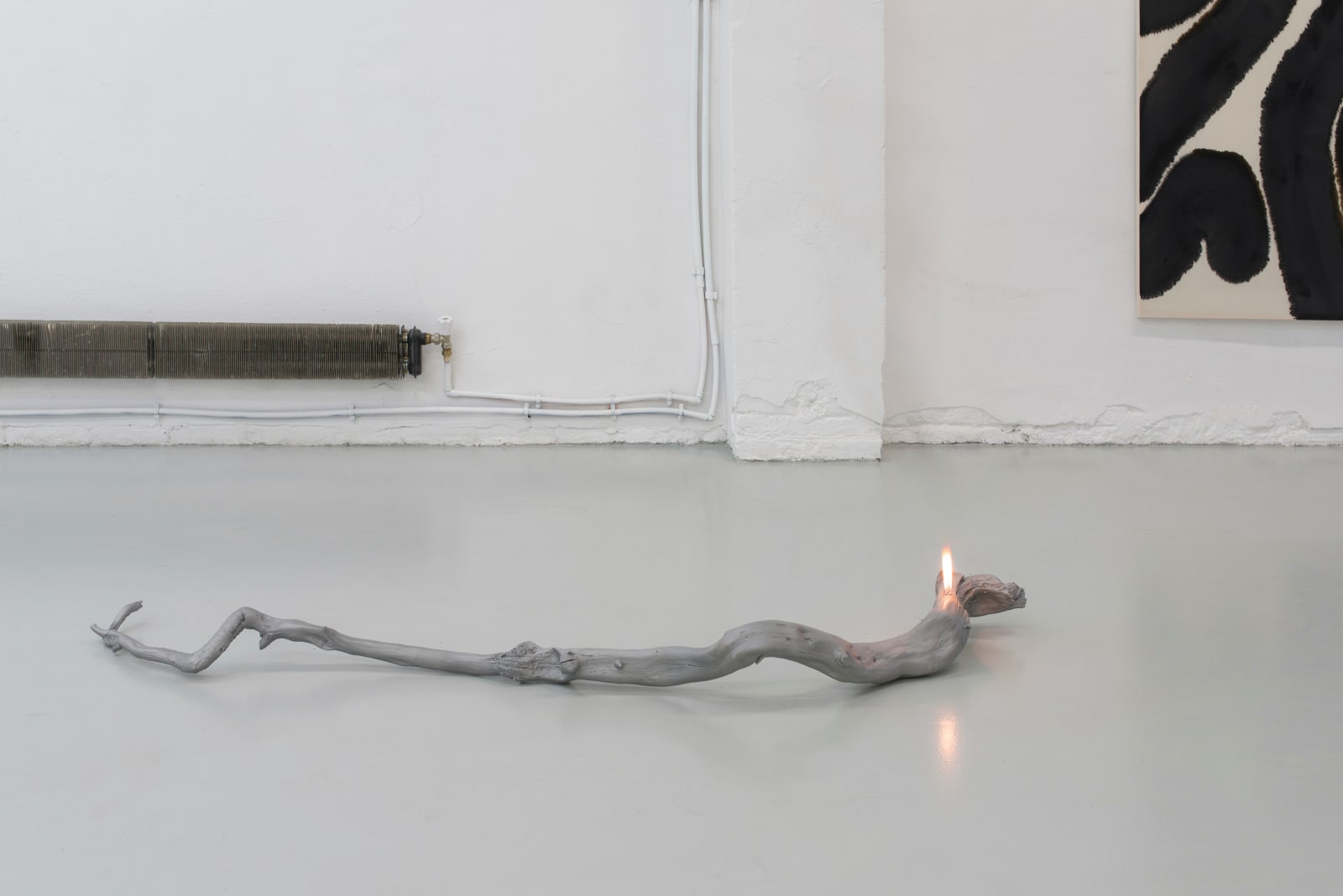 Ariel Schlesinger, At Arm's Length, 2019