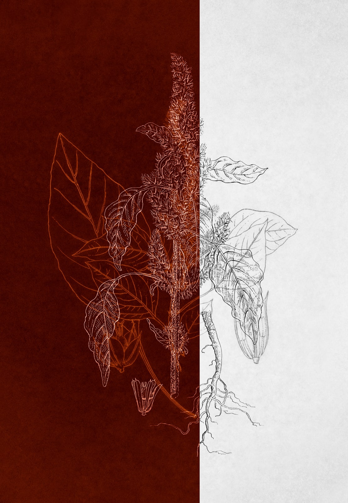 Dor Guez, Knowing the Land #7, 2022