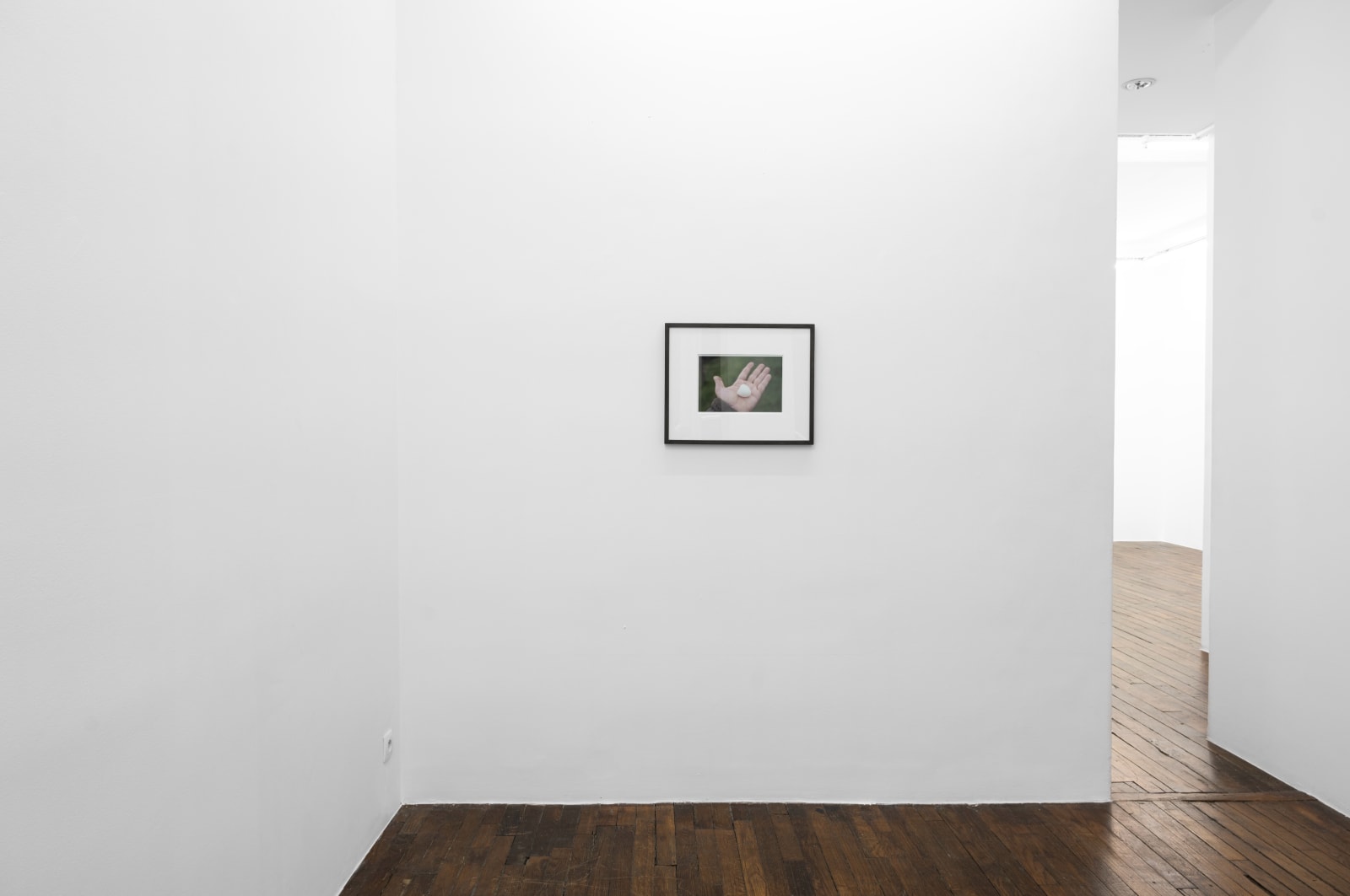 Yossi Breger, Eggshell on Palm