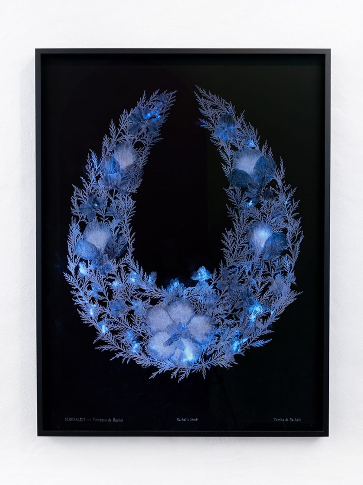 Dor Guez, Lilies of the field #1, Jerusalem, Rachel's tomb, 2019