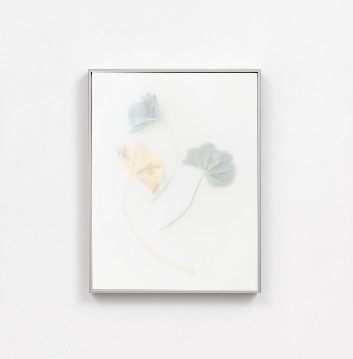 Dor Guez, Khubayza #9, 2025