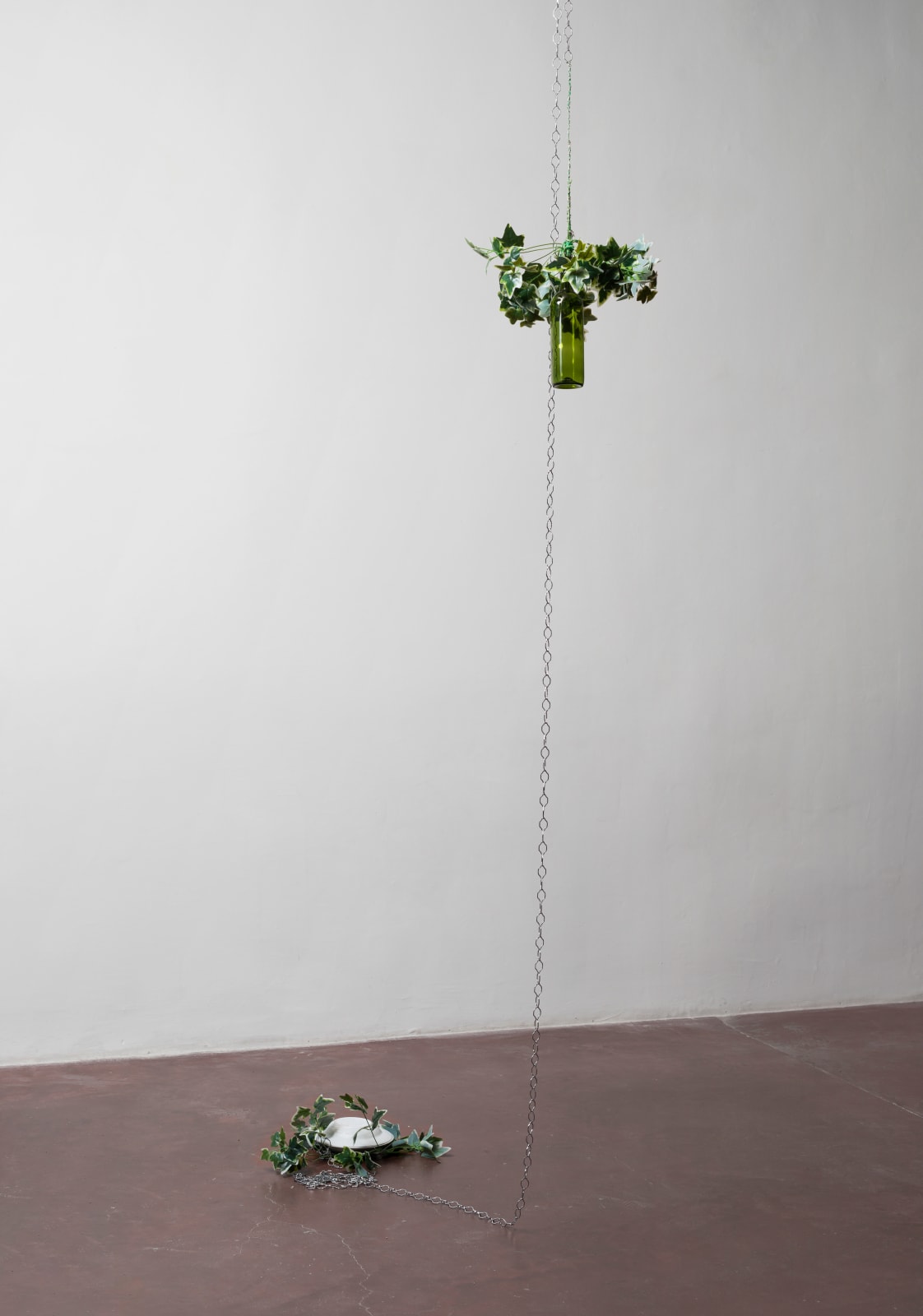 Etti Abergel, Bottle, plate, leaves, 2017