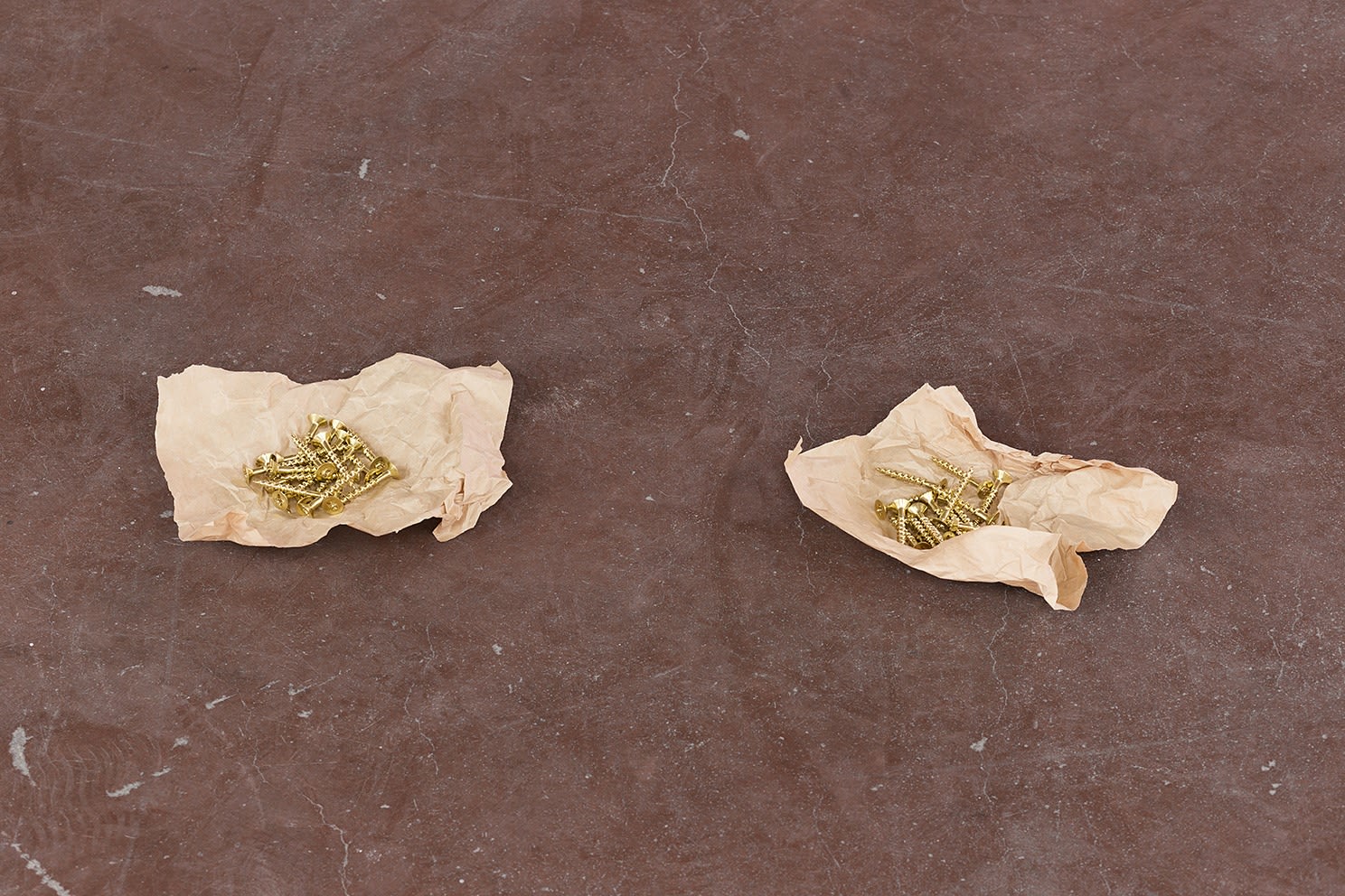 Ariel Schlesinger, Democracy now, 2016