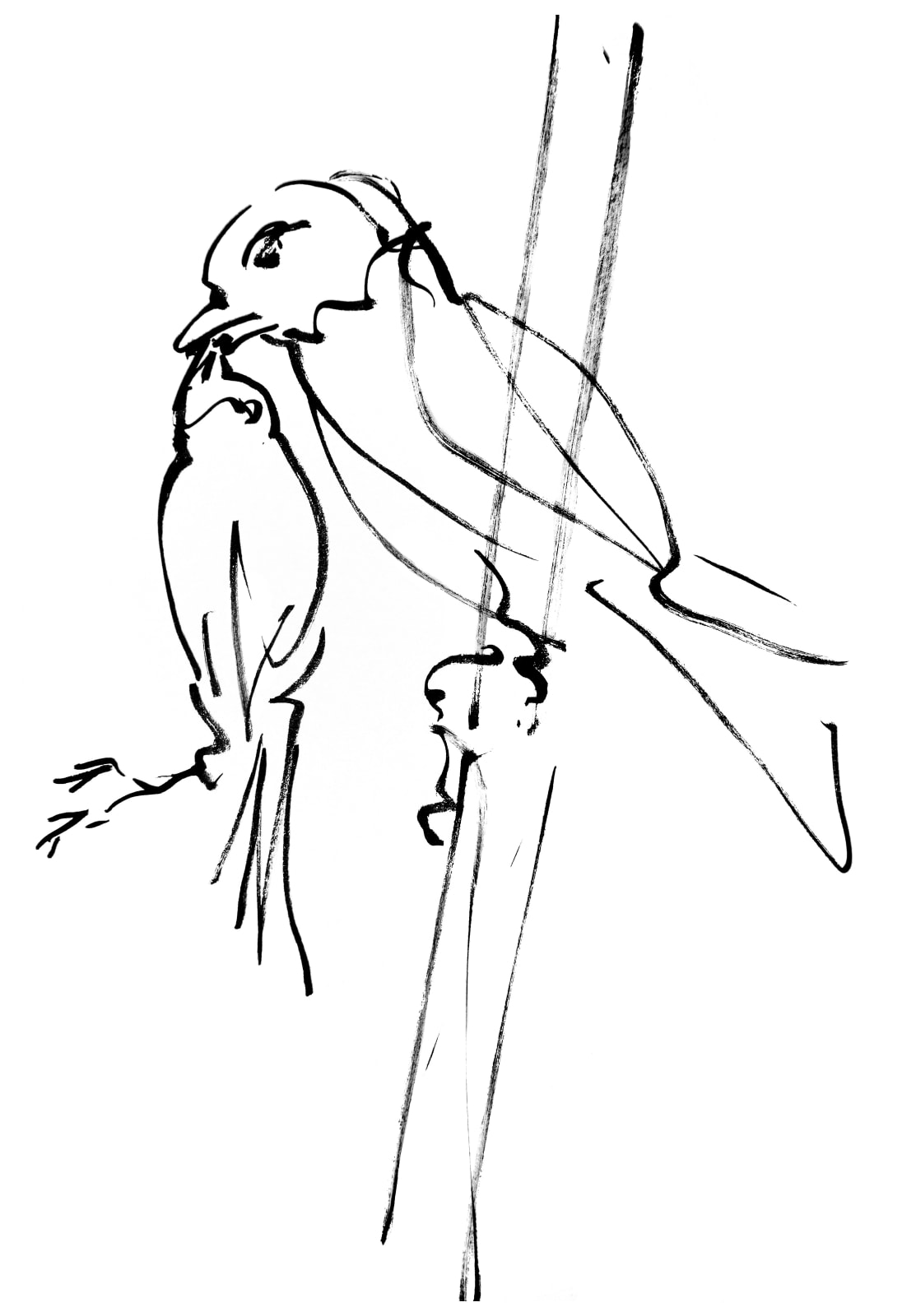 Mircea Cantor, Bellum & Maternitas, 2016