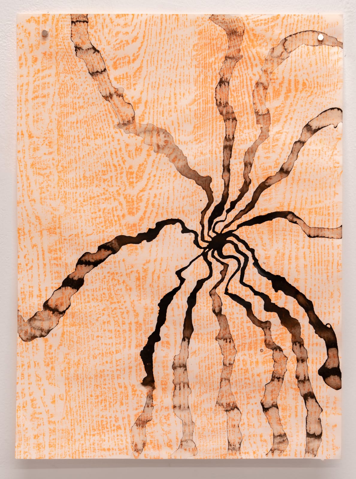 Alma Itzhaky , Untitled, 2023