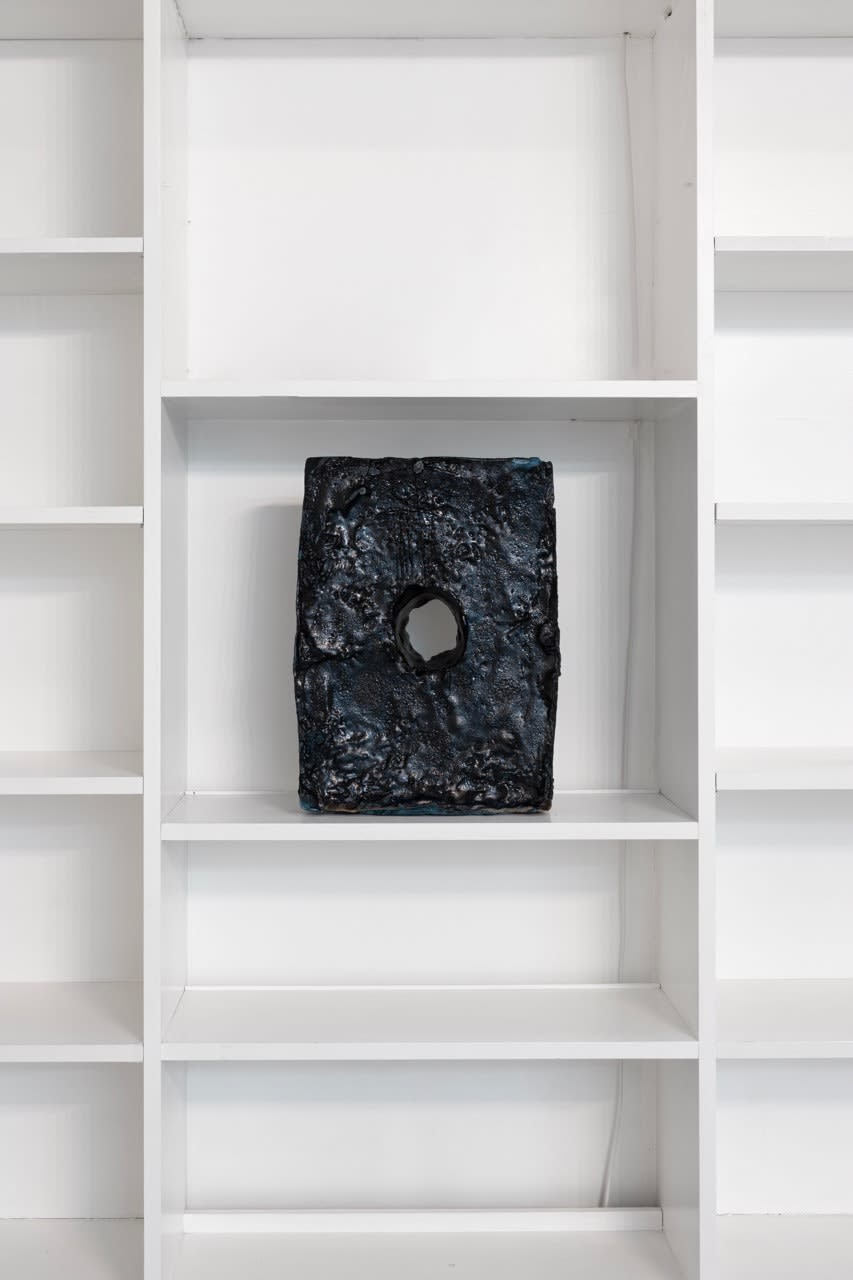 Bri Williams, Solar Plexus, 2023