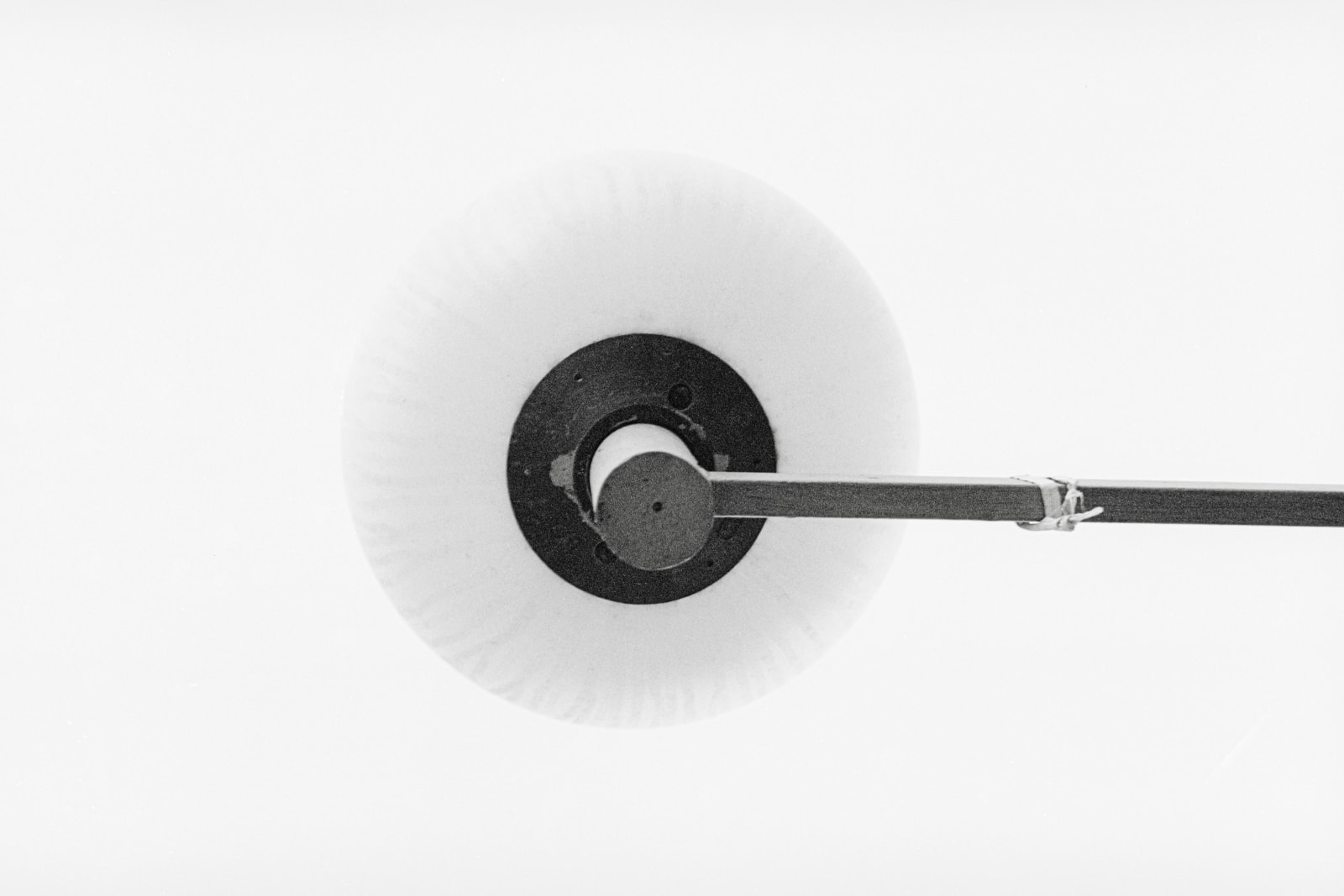 Etty Schwartz, Cn Copernicium, 1998 - 2022