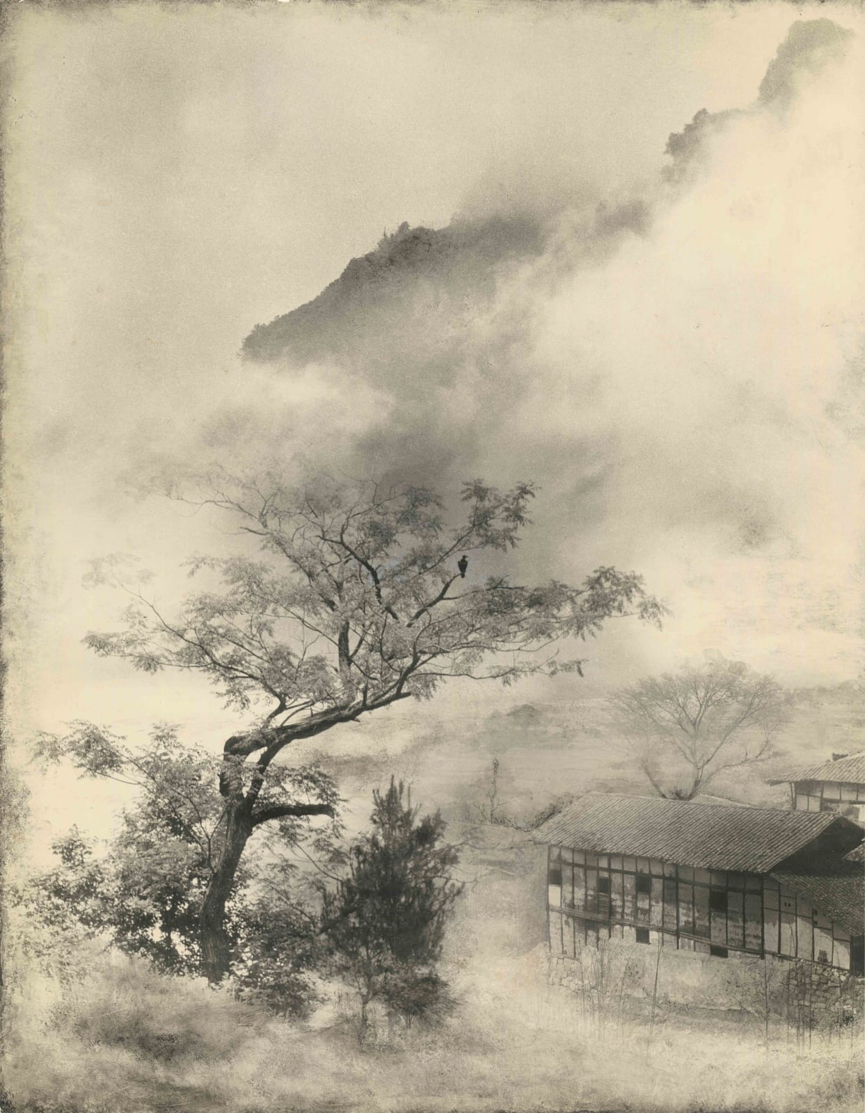 郎靜山 Lang Jingshan, 雲風鳥羽 Birds Twittering amid Cloud-clad Peaks, 1940