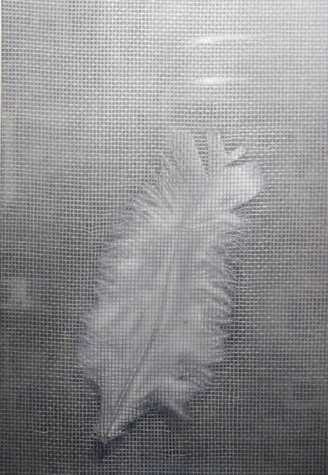 李吉祥 Lee ChiHsiang, 暫留 Stay Temporarily, 2025