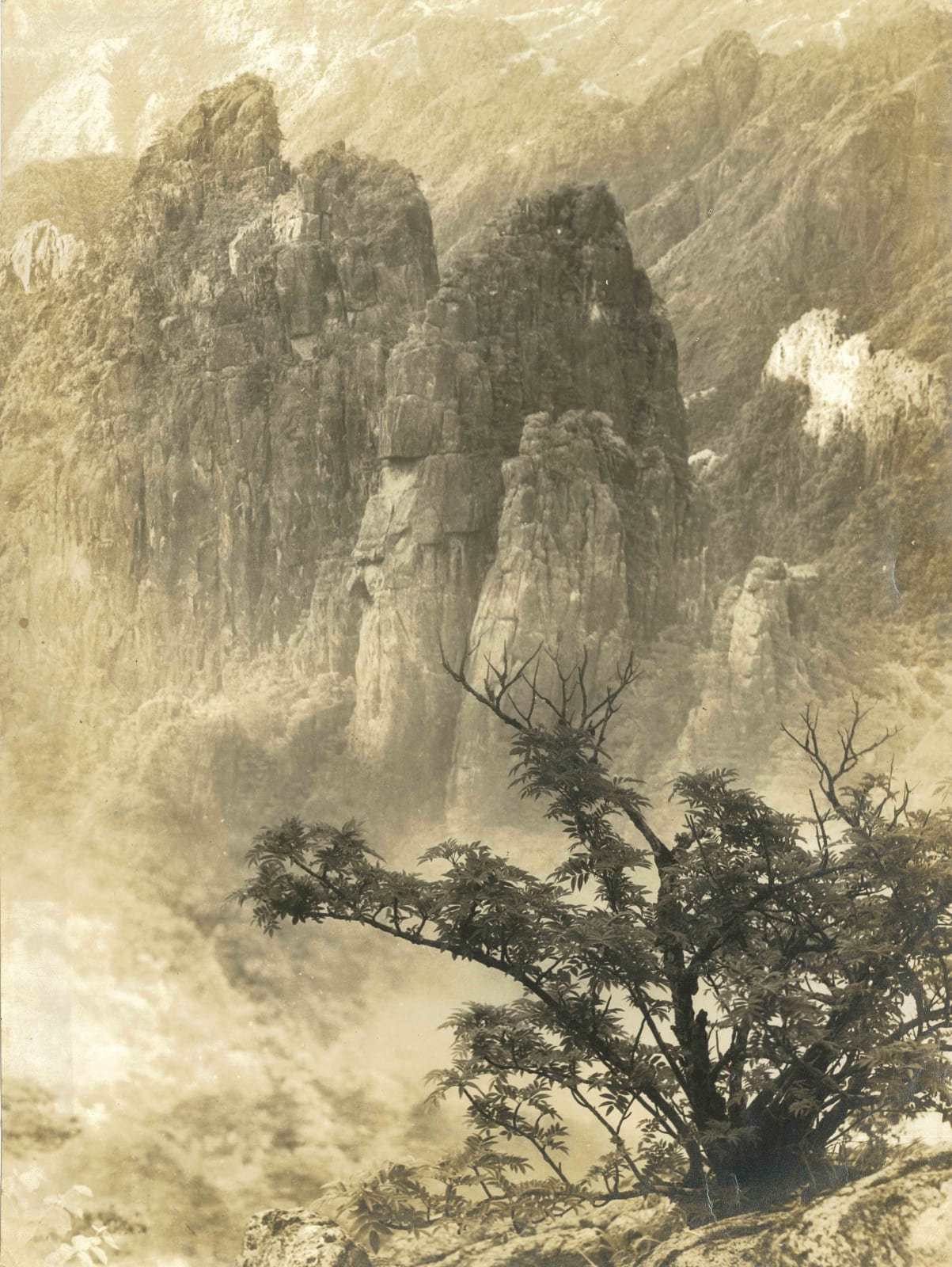 郎靜山 Lang Jingshan, 春樹奇峰 Majestic Solitude, 1934, printed later