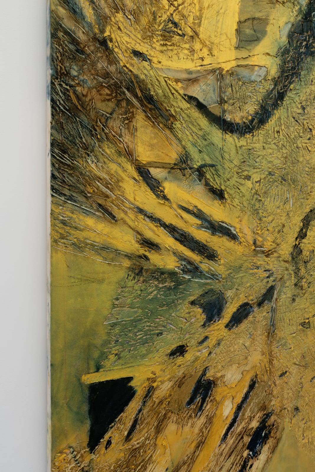 Ichi Tashiro, Sunflower, 2025