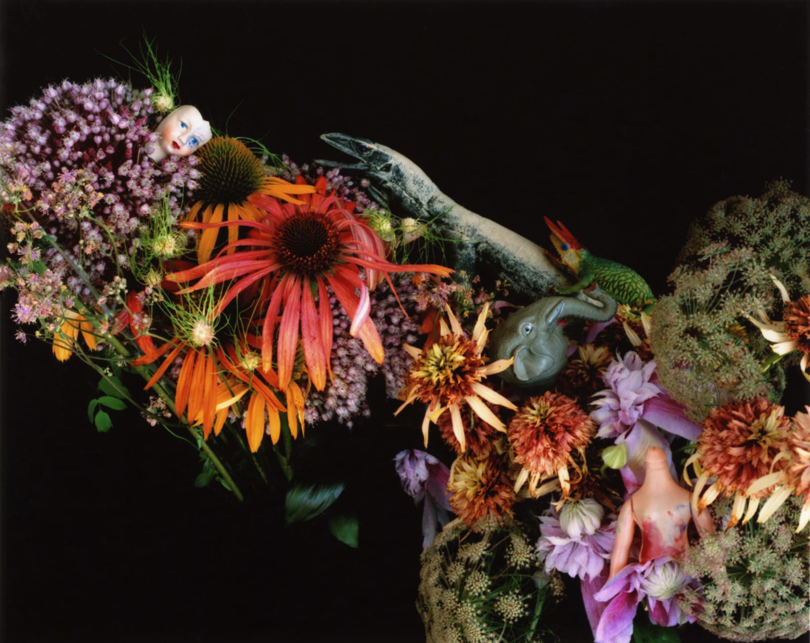 荒木經惟 Araki Nobuyoshi, qaradise, 2014