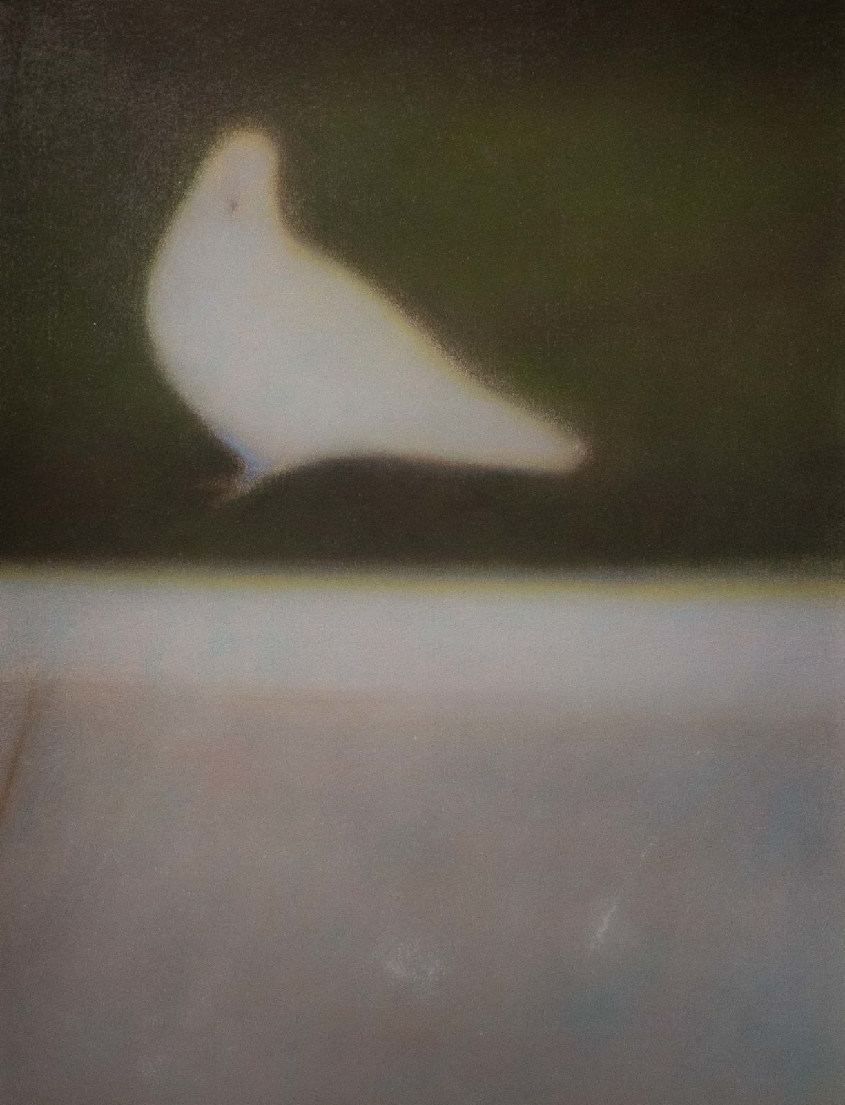 鄺鉅裁 Kwong KuiChoi, 對面 Opposite, 2024
