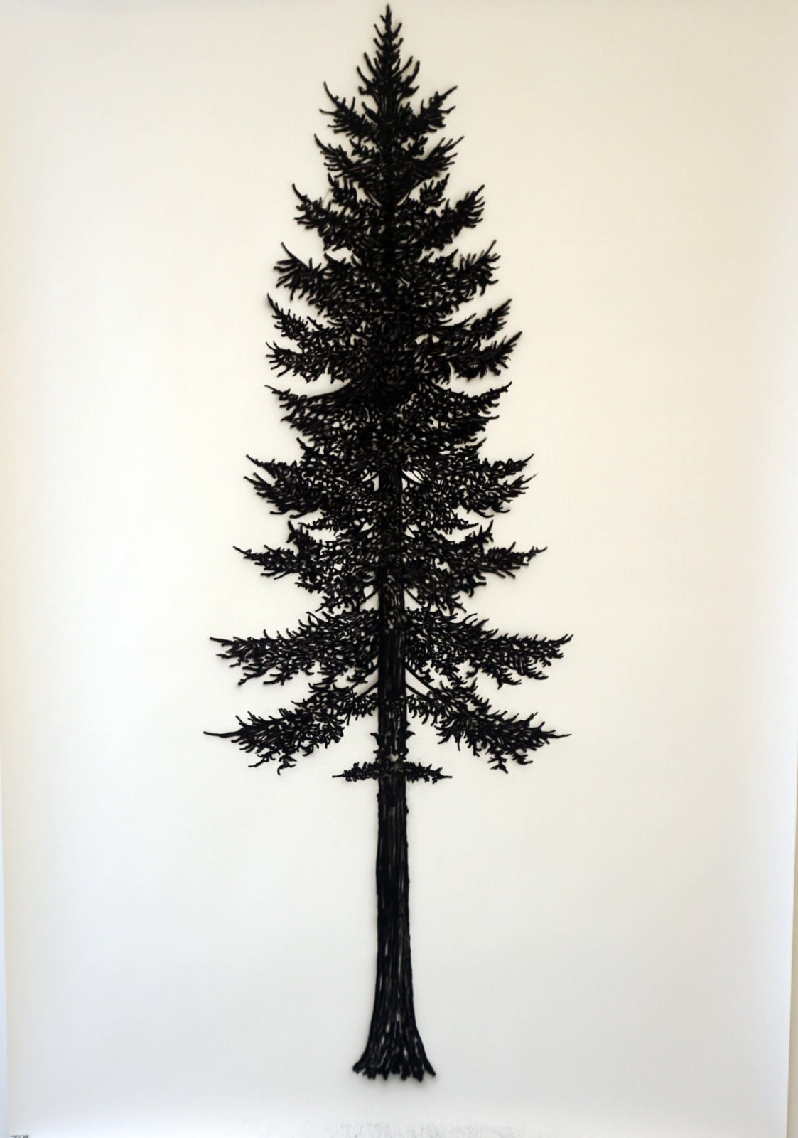 Eamon O'Kane, Tree Test, 2017