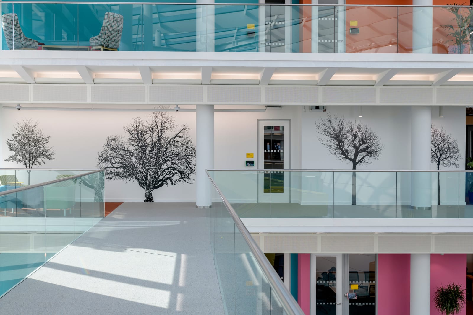 Eamon O'Kane, Meta Headquarters - Tástáil crainn (Tree test), 2022