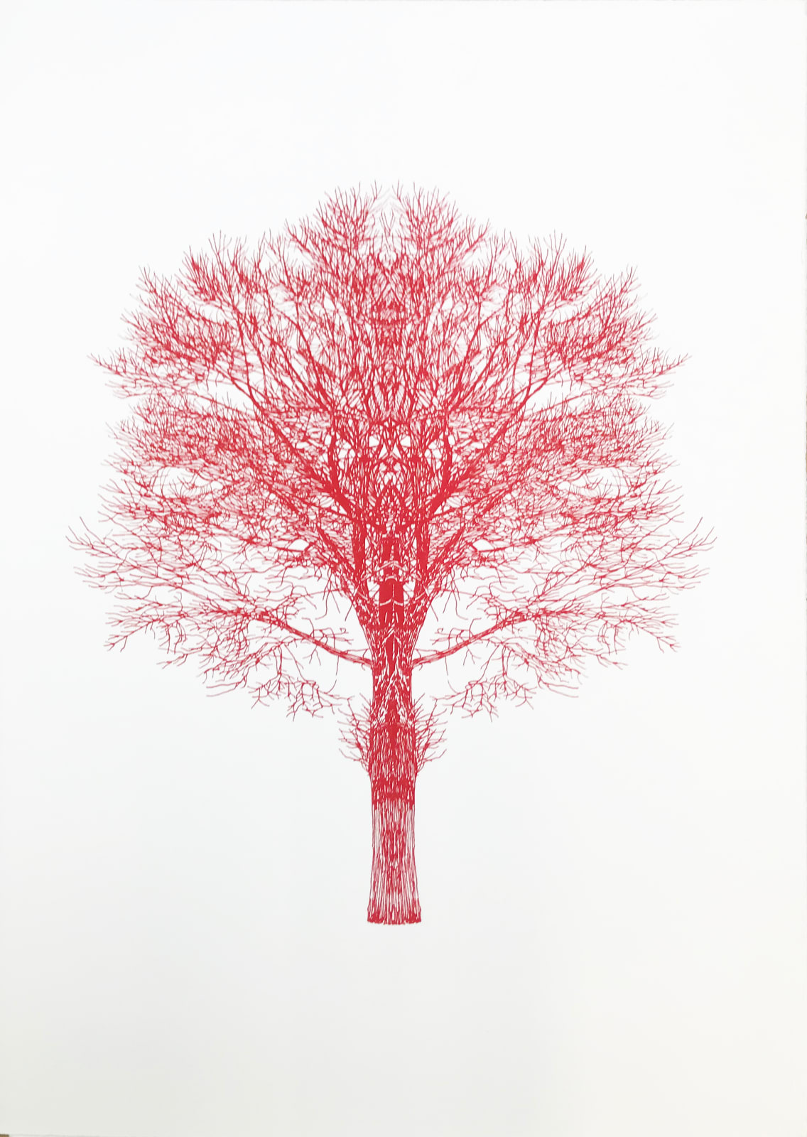 Eamon O'Kane, Colour Baum Test Series, 2022