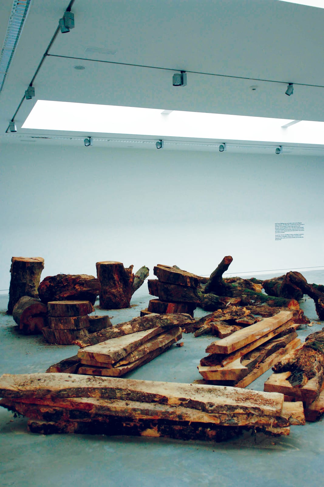 Eamon O'Kane, The House and the Tree, 2008