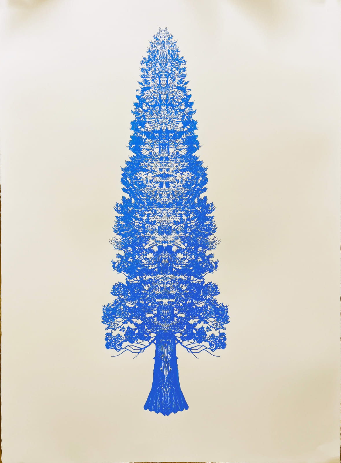 Eamon O'Kane, Colour Baum Test Series, 2022