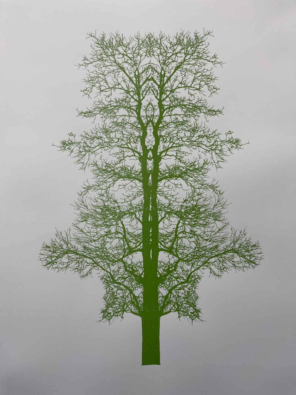 Eamon O'Kane, Colour Baum Test Series, 2022